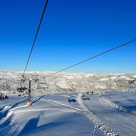 For Rent In Gautefall, Great Location For Skiing, Hiiking And Mountain Biking, Self Serviced But Housekeeping Be Added For An Extra Fee * Drangedal