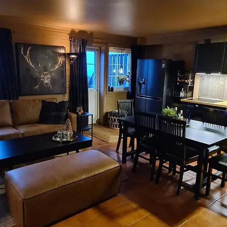 For Rent In Gautefall, Great Location For Skiing, Hiiking And Mountain Biking, Self Serviced But Housekeeping Be Added For An Extra Fee Apartment *
