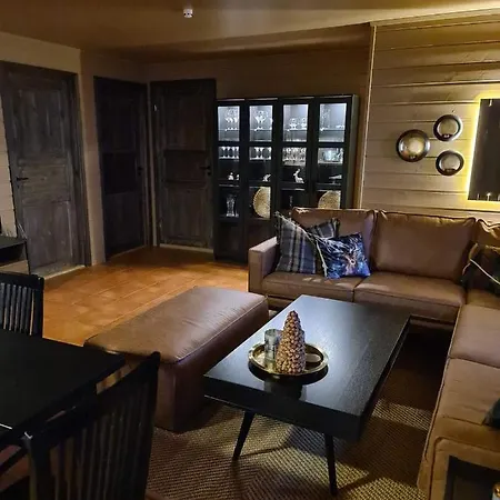 For Rent In Gautefall, Great Location For Skiing, Hiiking And Mountain Biking, Self Serviced But Housekeeping Be Added For An Extra Fee Apartment
