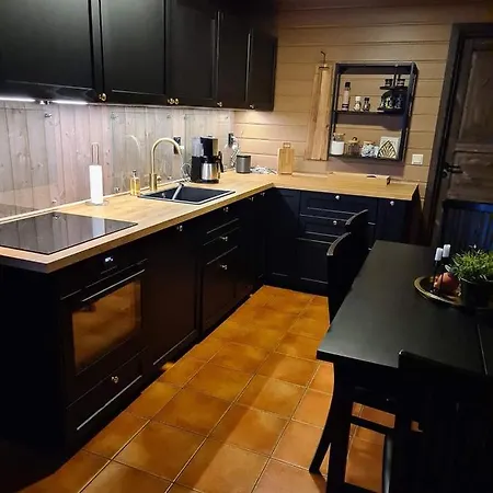 For Rent In Gautefall, Great Location For Skiing, Hiiking And Mountain Biking, Self Serviced But Housekeeping Be Added For An Extra Fee Appartement Drangedal