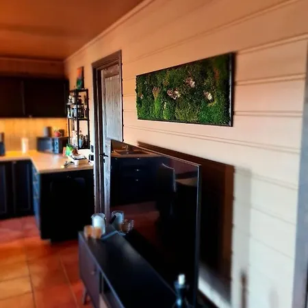 For Rent In Gautefall, Great Location For Skiing, Hiiking And Mountain Biking, Self Serviced But Housekeeping Be Added For An Extra Fee * Drangedal