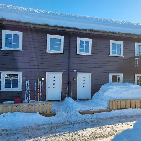 For Rent In Gautefall, Great Location For Skiing, Hiiking And Mountain Biking, Self Serviced But Housekeeping Be Added For An Extra Fee Apartment *