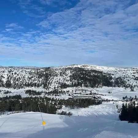 For Rent In Gautefall, Great Location For Skiing, Hiiking And Mountain Biking, Self Serviced But Housekeeping Be Added For An Extra Fee Apartment Drangedal